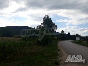 image_7
