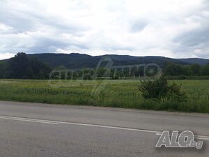 image_10