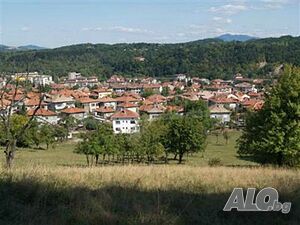 image_6