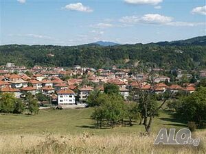 image_7