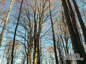 image_3