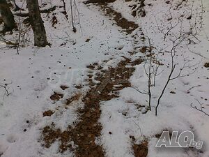 image_6