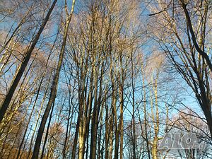 image_8