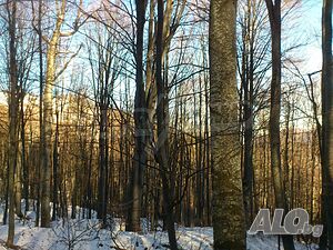 image_9