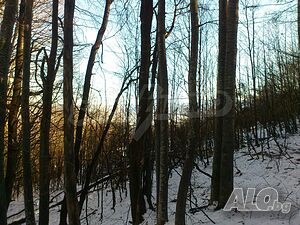 image_10