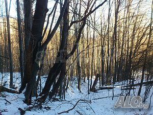 image_11
