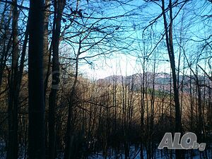image_13