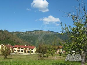 image_8