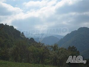 image_9