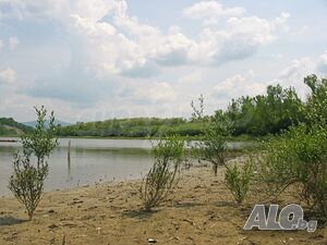 image_8