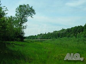 image_9