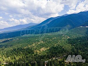 image_6