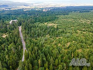 image_11