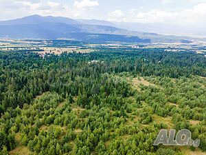 image_12
