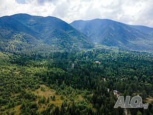 image_14