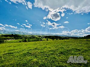 image_9