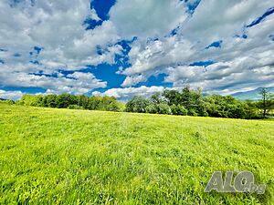 image_10