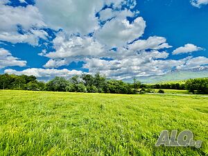 image_11