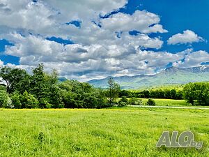 image_12