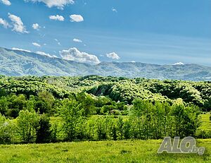 image_14