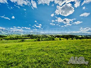 image_15