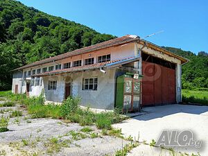 image_7
