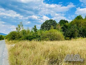 image_7