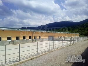 image_7