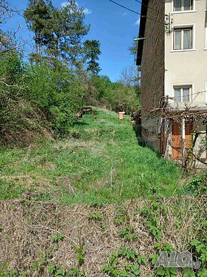 image_10