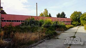 image_6