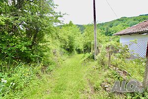 image_6