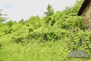 image_14