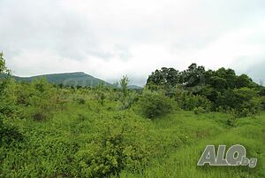 image_7