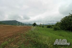 image_11