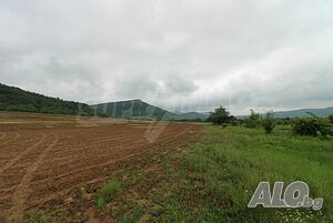 image_12
