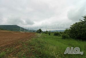 image_13