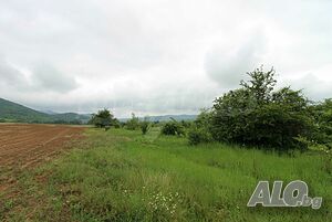 image_14