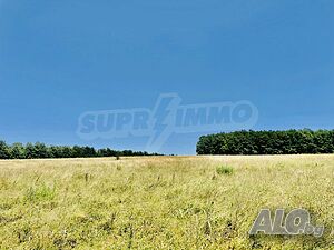 image_10