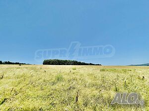image_11