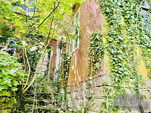 image_11