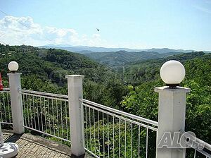 image_13