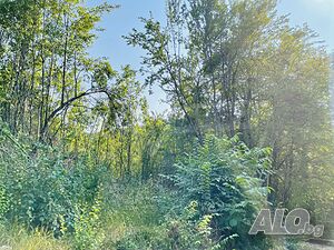 image_13