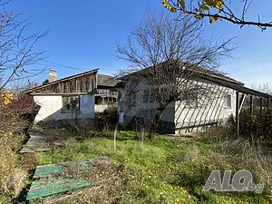 Едноетажна къща с голям двор в село на брега на р. Дунав
