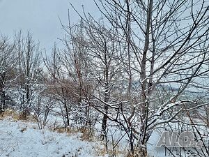 image_6