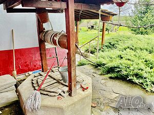 image_7