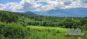 image_11