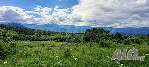 image_12