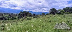 image_14
