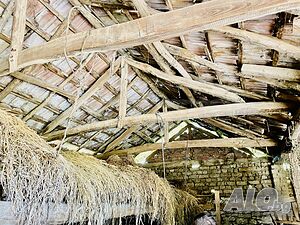 image_11
