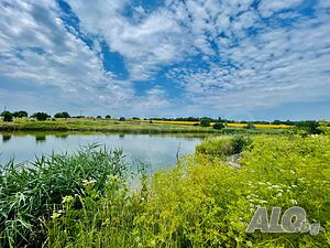 image_14